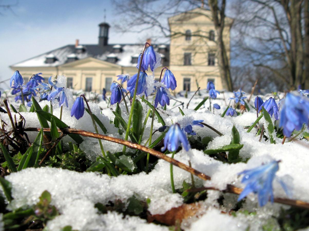 Chateau Mcely Hotel Buitenkant foto