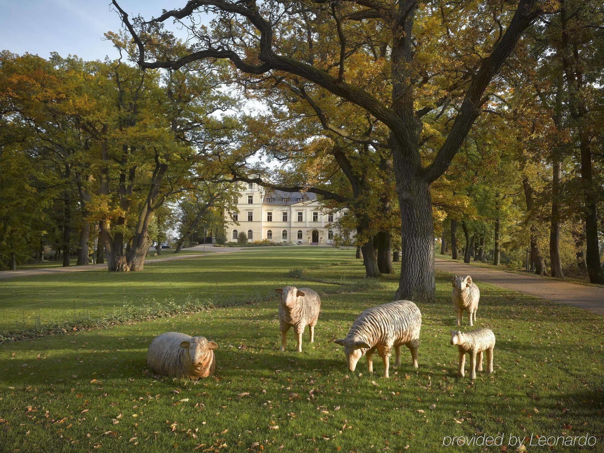 Chateau Mcely Hotel Buitenkant foto